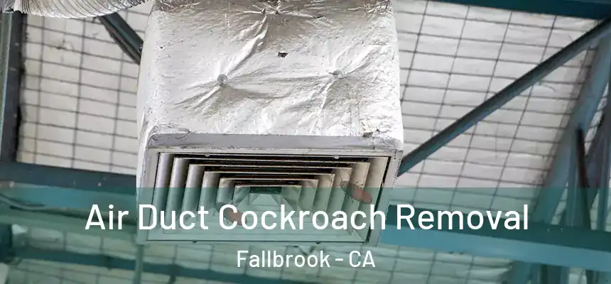 Air Duct Cockroach Removal Fallbrook - CA