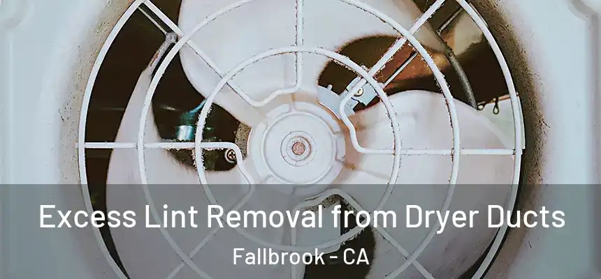  Excess Lint Removal from Dryer Ducts Fallbrook - CA