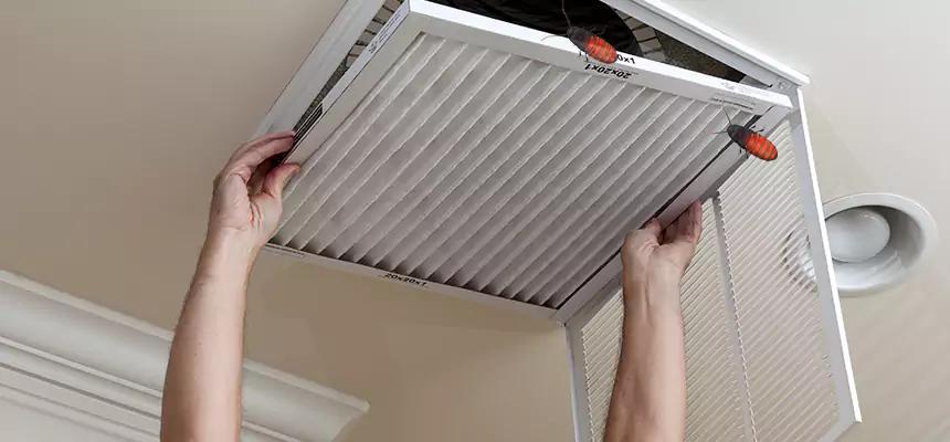Preventive Cockroach-Proofing for Ducts in Fallbrook