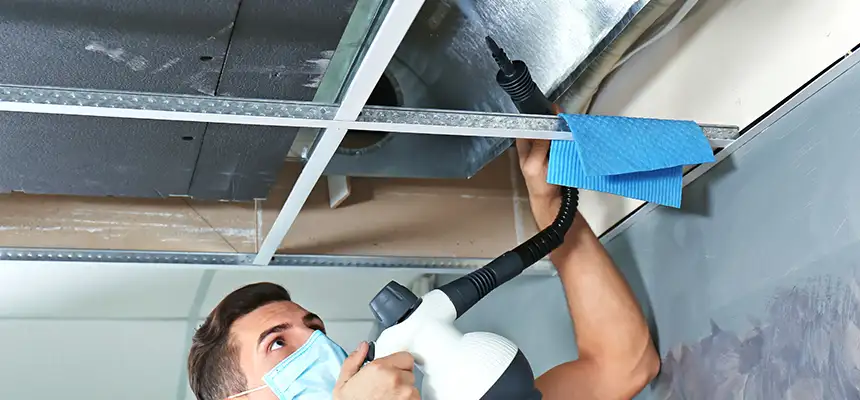 Our Air Duct Rodent Removal Services in Fallbrook, CA
