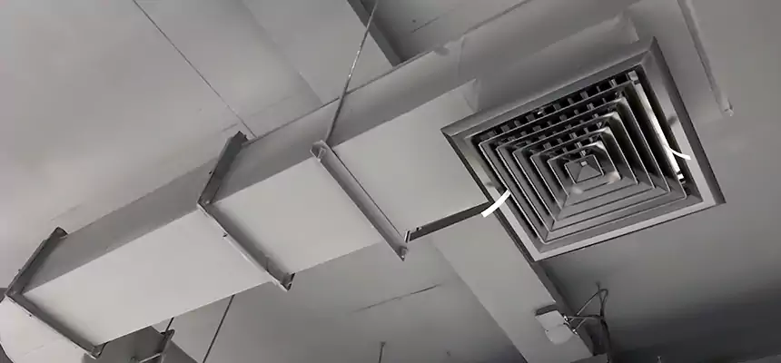 Our Pest Removal From Ducts Services in Fallbrook, CA