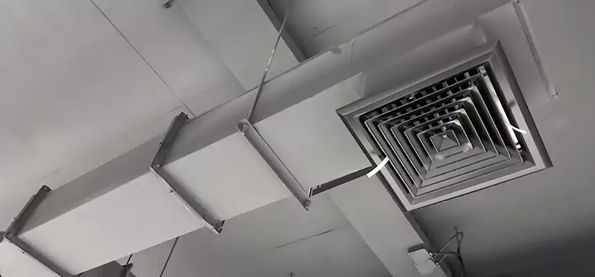 Our Rodent Droppings In Vents Services in Fallbrook, CA