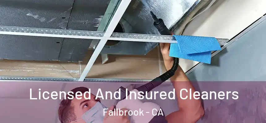 Licensed And Insured Cleaners Fallbrook - CA