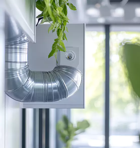 Professional Eco-Safe Dryer Vent Cleaning in Fallbrook, CA