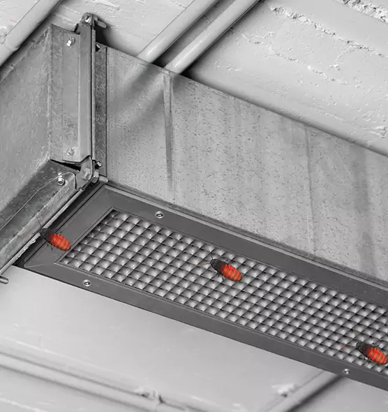 Affordable Insect Removal from Air Ducts in Fallbrook, CA