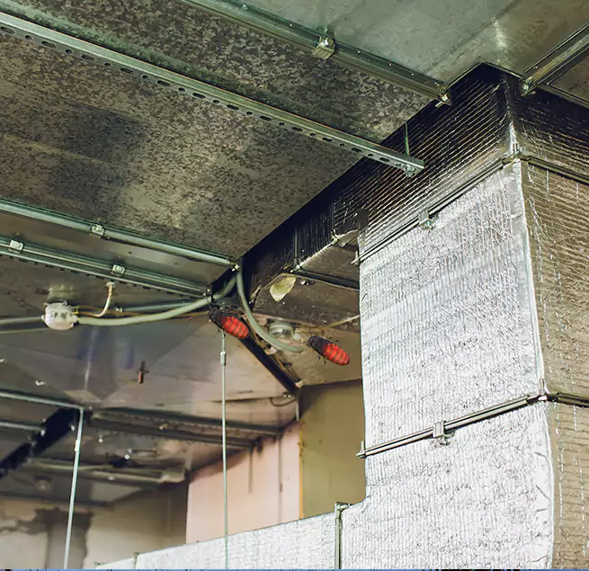 Why Homeowners & Businesses Trust Us in Fallbrook, CA?