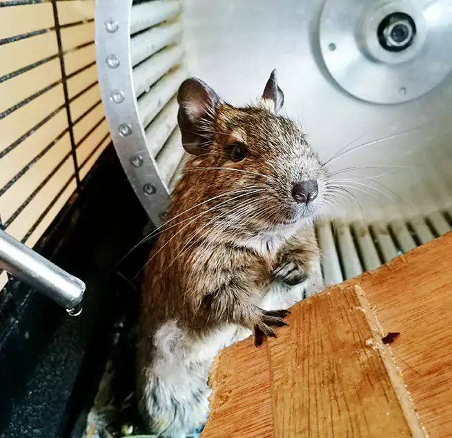 Why Homeowners & Businesses Trust Us Fallbrook, CA