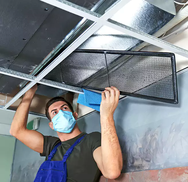 Why Homeowners Businesses Trust Us in Fallbrook, CA