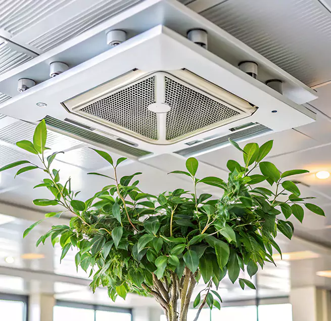 Why Homeowners & Businesses Trust Us in Fallbrook, CA?